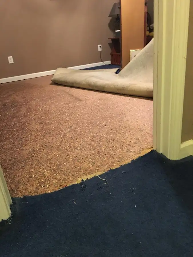 Carpet pad removal revealing water damage during Water Mitigation Services in Mount Clemens