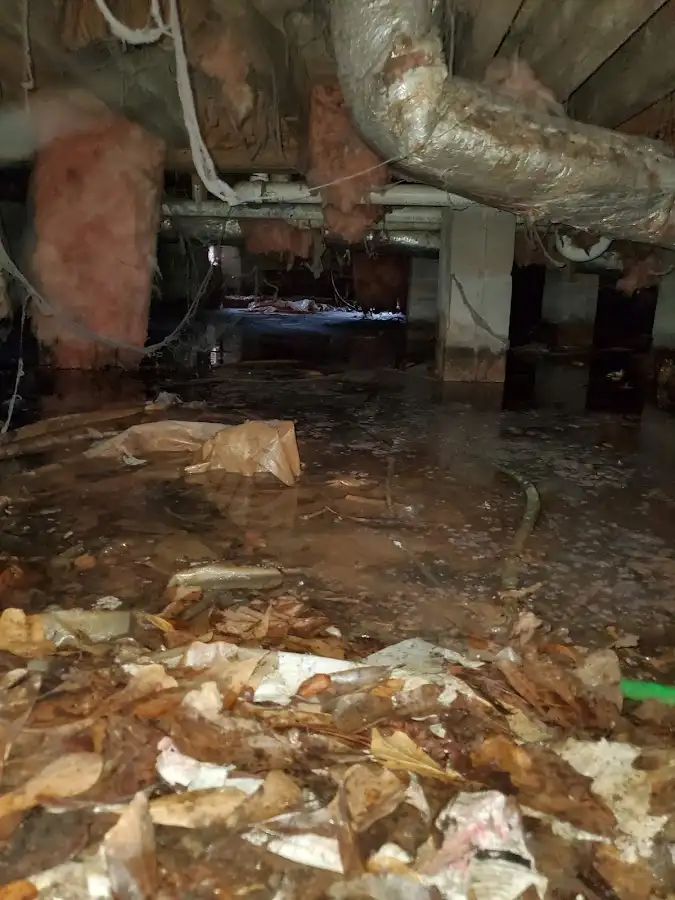 Crawl space flood assessment for Leak Detection & Repair in Mount Clemens