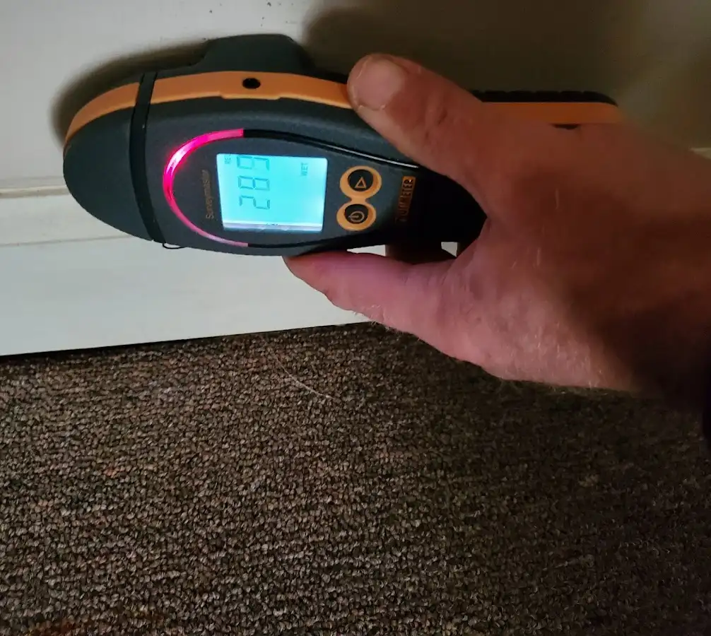 Moisture detection at baseboard during Storm Damage Restoration in Mount Clemens